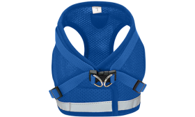 Reflekterande västsele med matchande koppel