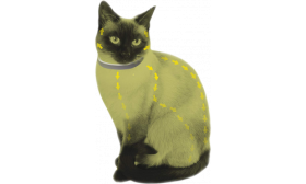 Naturligt Lopp- och Fästingshalsband för Katt