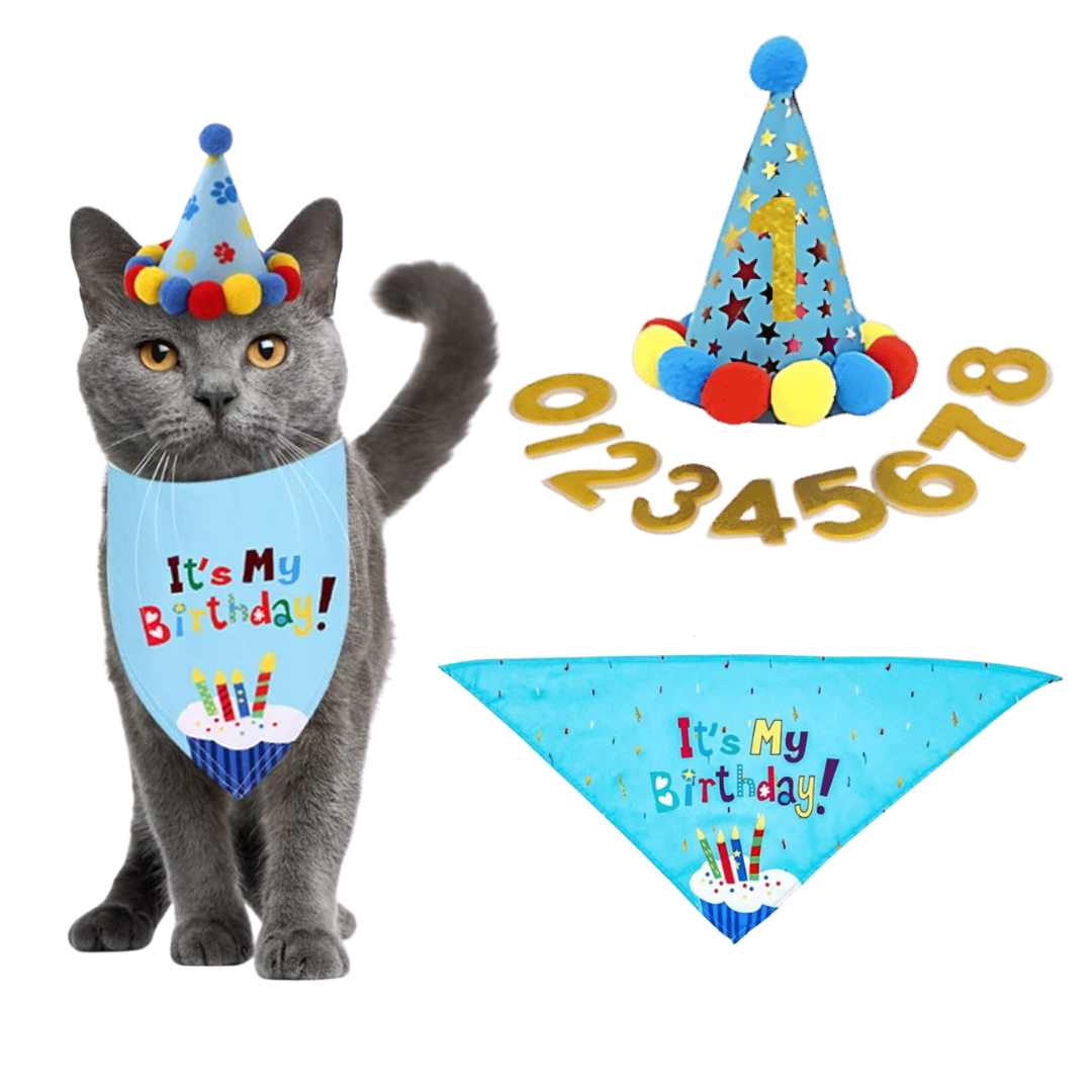 Bandana-set för Kattens Födelsedag Bandana-set för Kattens Födelsedag