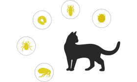 Naturligt Lopp- och Fästingshalsband för Katt