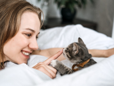 Att ta hem eller adoptera en ny katt: Skapa ett mysigt och säkert katthem 