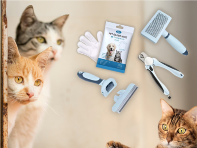Kattborste och Pälsvård: Så Borstar du Rätt för Varje Kattras