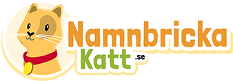 Namnbrickakatt.se